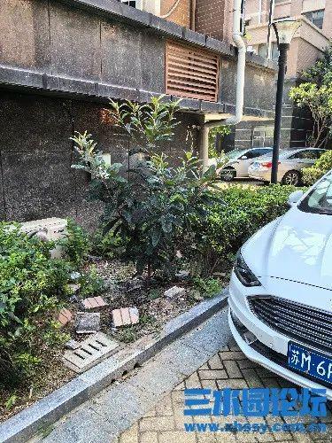 落水管掉落砸了车谁负责落水管掉落砸车事件责任归属解析